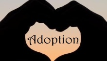 adoption, heart hands, heart sunset